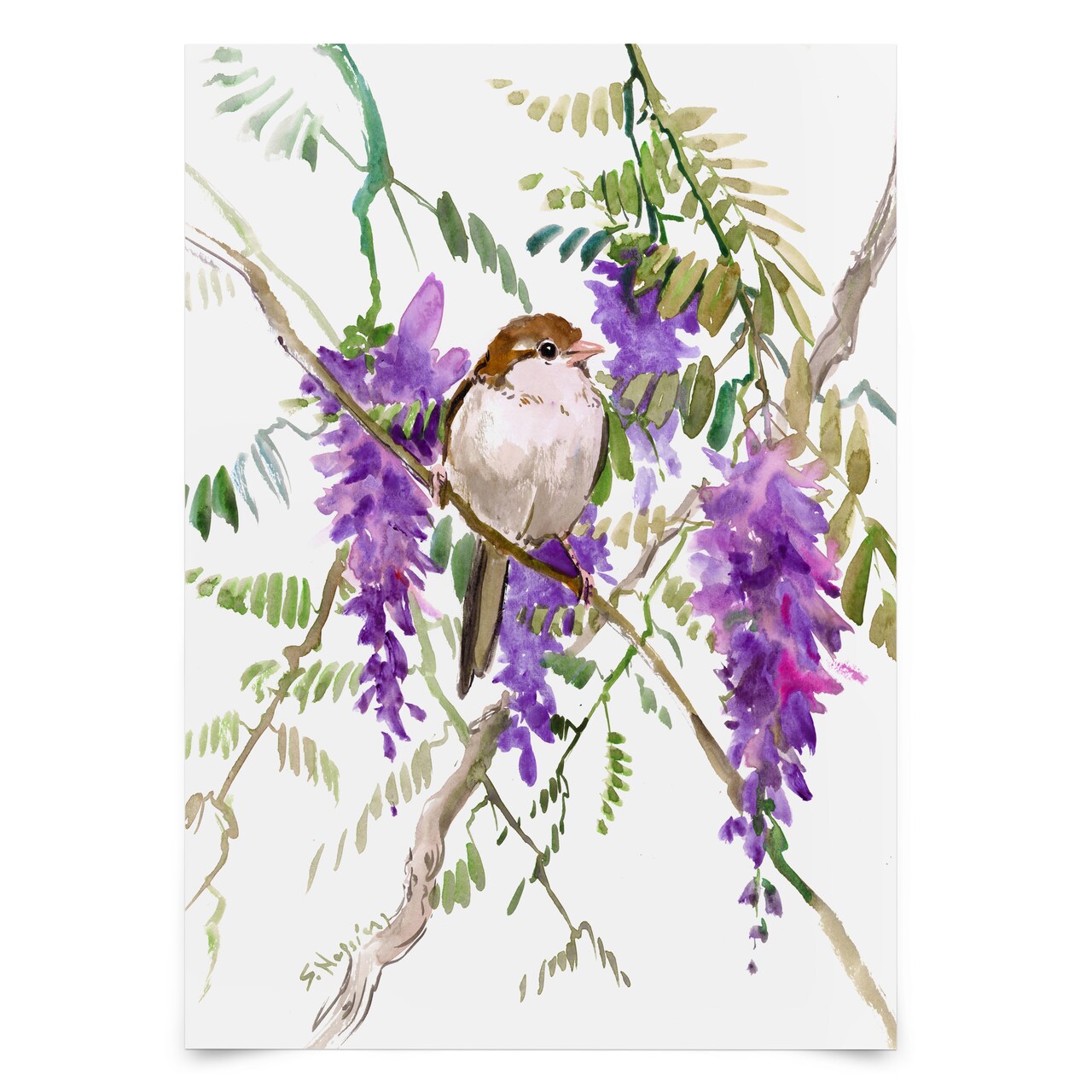 Sparrow And Wisteria by Suren Nersisyan  Poster - Americanflat